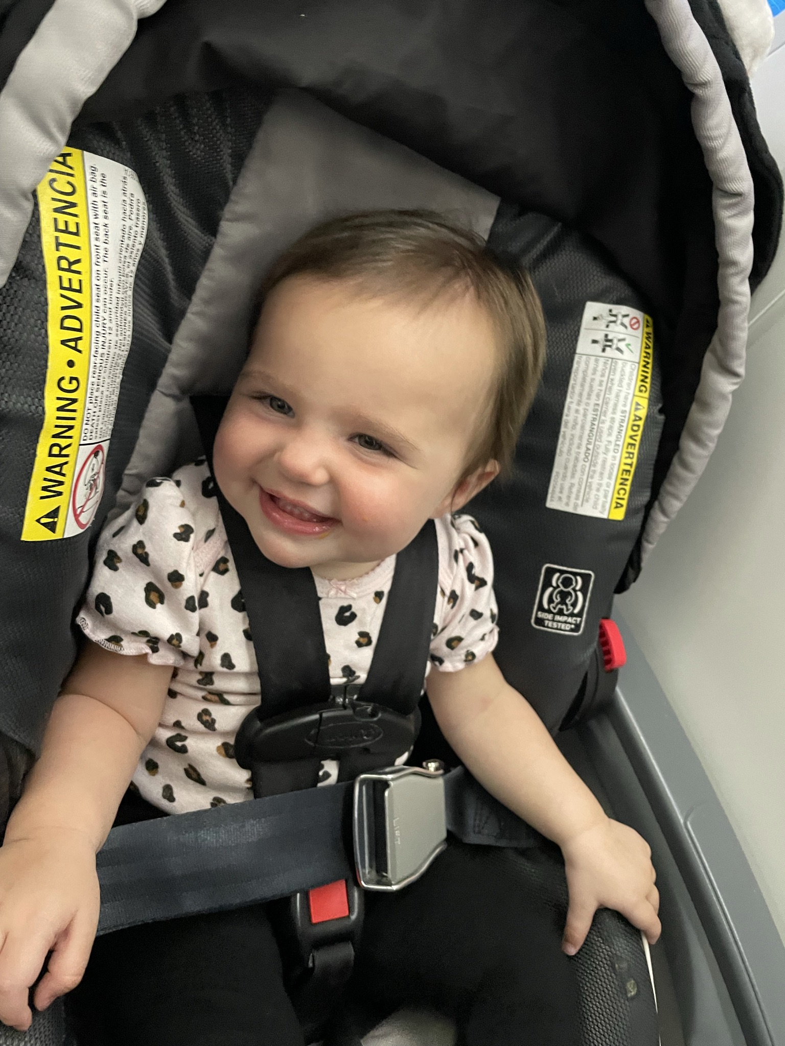 Best Travel Car Seats The Flying Mum